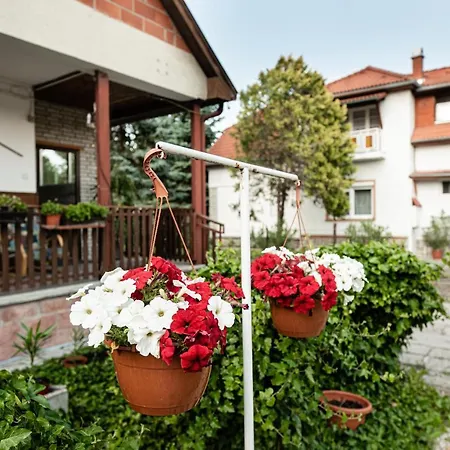 公寓 Vadkacsa Apartmanhaz Medencevel