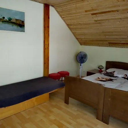 公寓 Vadkacsa Apartmanhaz Medencevel 扎马迪