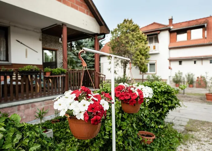 דירה Vadkacsa Apartmanhaz Medencevel